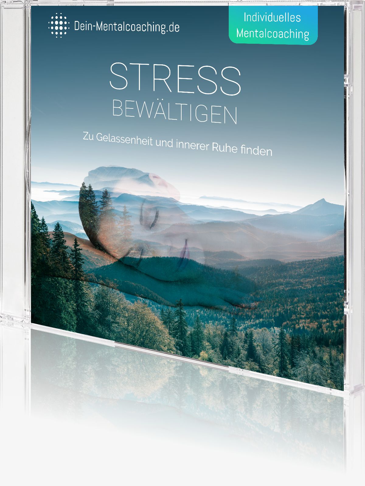 Mentalcoaching „Stress bewältigen“